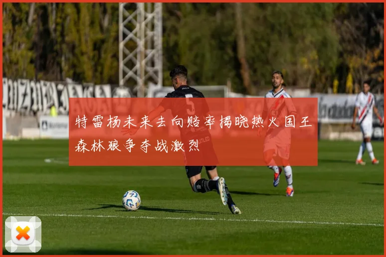 特雷杨未来去向赔率揭晓热火国王森林狼争夺战激烈