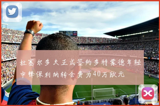 杜塞尔多夫正式签约多特蒙德年轻中锋保利纳转会费为40万欧元