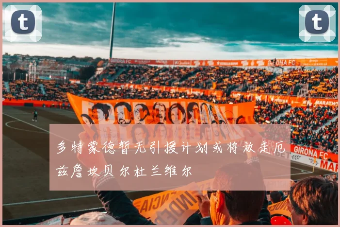 多特蒙德暂无引援计划或将放走厄兹詹坎贝尔杜兰维尔