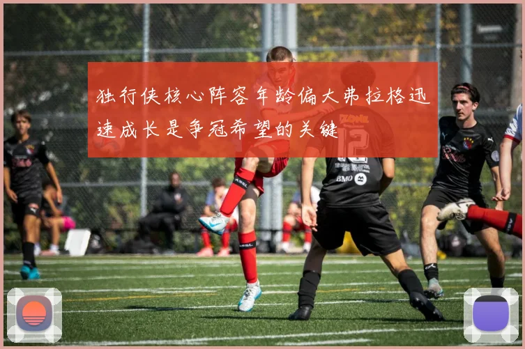 独行侠核心阵容年龄偏大弗拉格迅速成长是争冠希望的关键